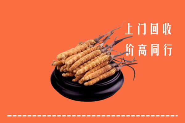 高价求购：海北回收散虫草